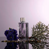 Abercrombie & Fitch First Instinct Man Eau de Toilette 100ml
