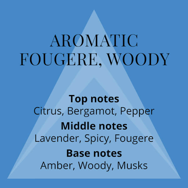 Perfumer's Choice No. 11 Leo Eau de Parfum Spray 83ml