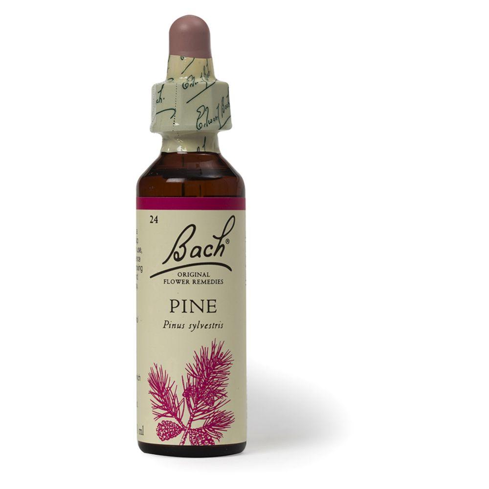Original Flower Remedy Pine Dropper 20MlFlower Essence