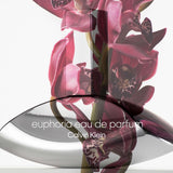 Calvin Klein Euphoria Eau de Parfum 50ml