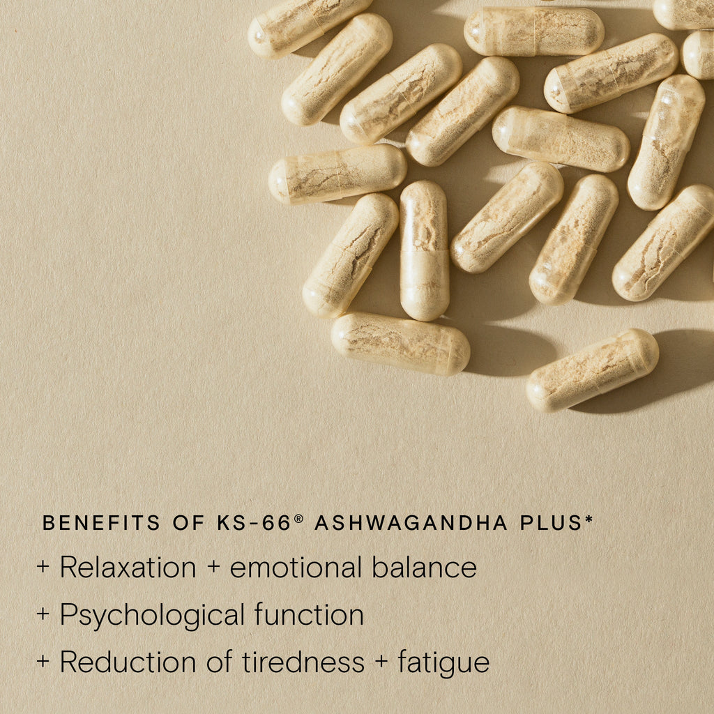 Wild Nutrition Perimenopause Support Trio (Pouch Refill) for Hormonal Balance & Midlife Wellness