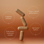 Wild Nutrition Brain Resilience Duo for Mental Performance & Cognitive Support