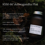 Wild Nutrition Mental Resilience Duo for Stress Management & Cognitive Support