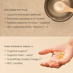 Wild Nutrition Collagen 500 Plus - 3 Month Supply for Skin, Hair, Nails & Joint Health