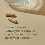 Wild Nutrition Perimenopause Support Trio (Pouch Refill) for Hormonal Balance & Midlife Wellness