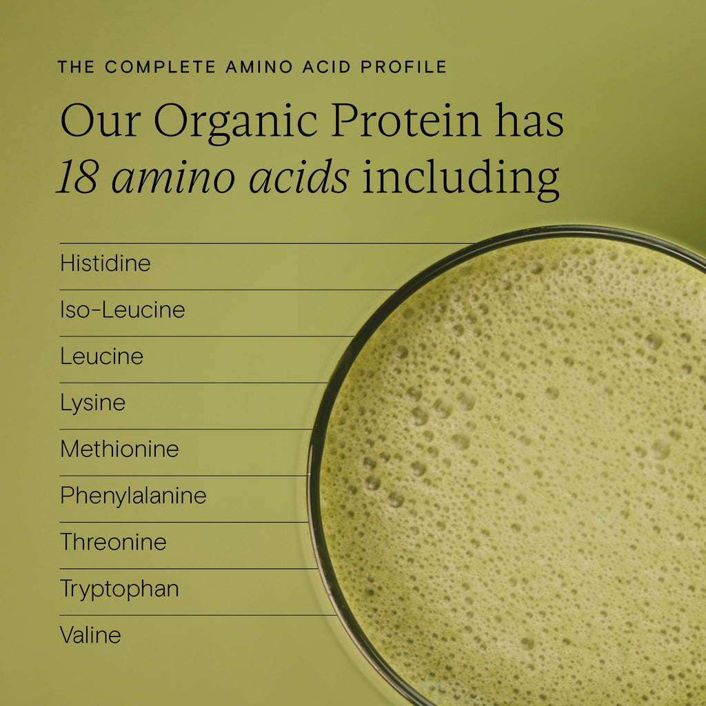 Wild Nutrition Food-Grown® Organic Protein + Superfood Powder for Daily Nutrition & Wellness Support