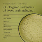 Wild Nutrition Food-Grown® Organic Protein + Superfood Powder for Daily Nutrition & Wellness Support