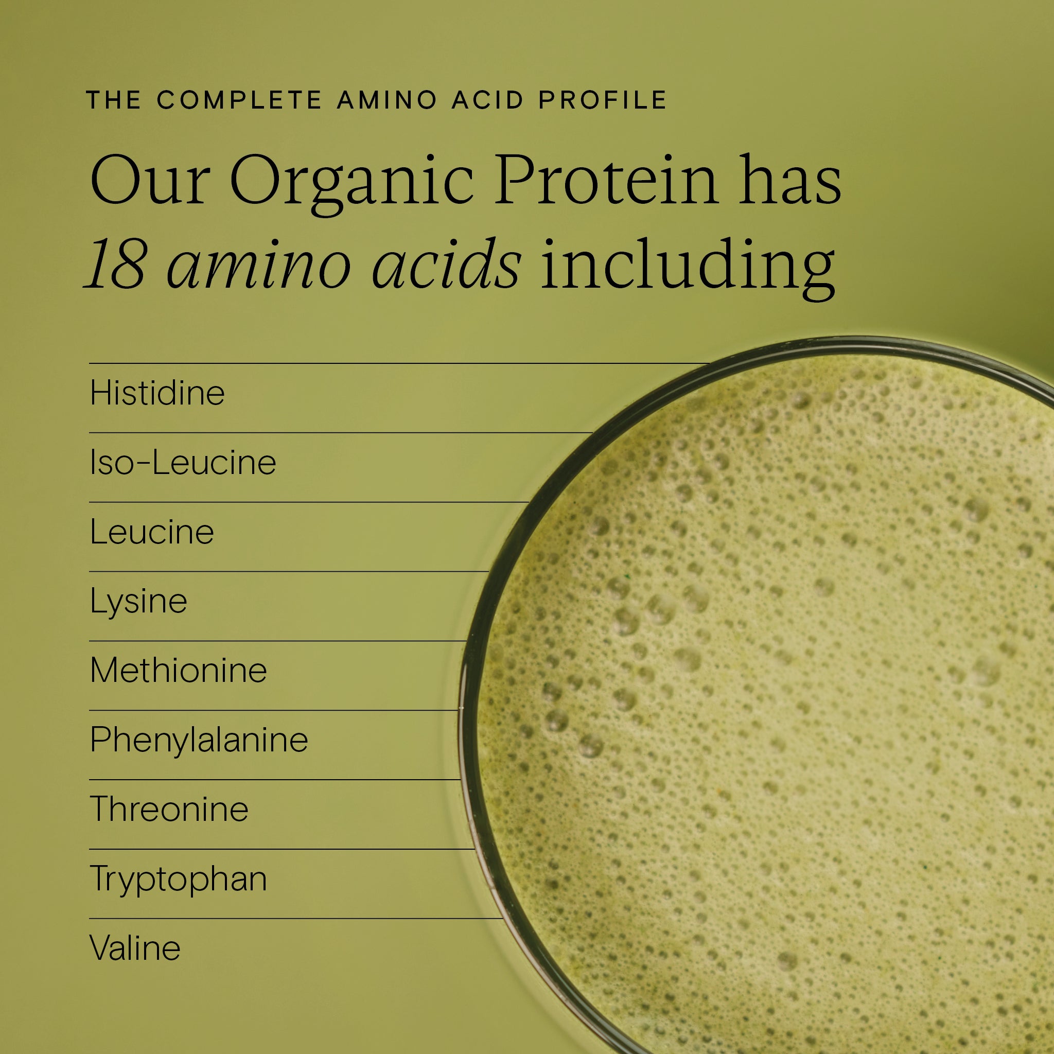 Wild Nutrition Food-Grown® Organic Protein + Superfood Powder for Daily Nutrition & Wellness Support