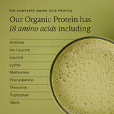 Wild Nutrition Food-Grown® Organic Protein + Superfood Powder for Energy & Nutritional Support