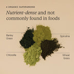 Wild Nutrition Food-Grown® Organic Protein + Superfood Powder for Daily Nutrition & Wellness Support