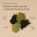 Wild Nutrition Food-Grown® Organic Protein + Superfood Powder for Energy & Nutritional Support