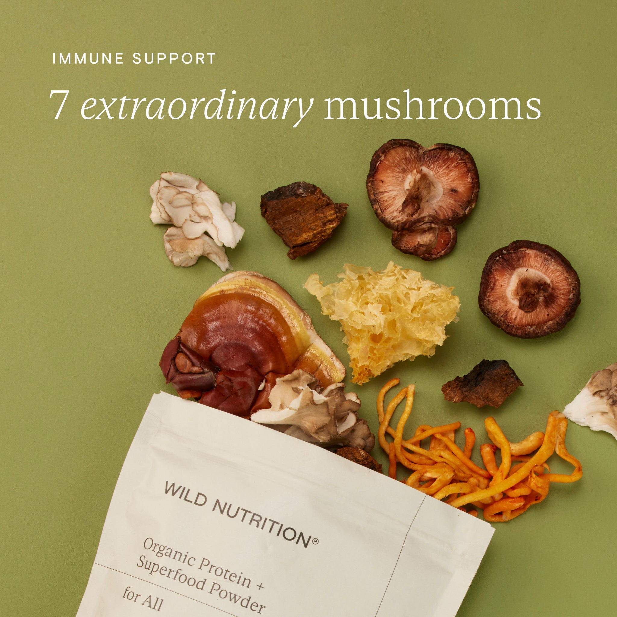 Wild Nutrition Food-Grown® Organic Protein + Superfood Powder for Daily Nutrition & Wellness Support