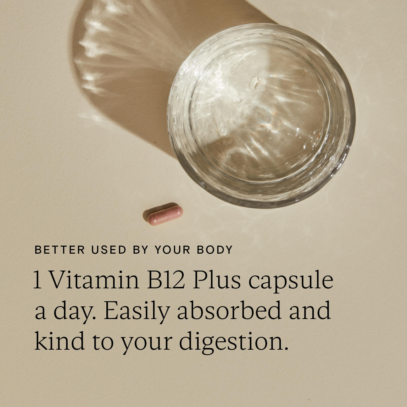 Wild Nutrition Food-Grown® Vitamin B12 Plus for Energy Production & Nervous System Health
