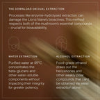 Wild Nutrition Mind + Mood Duo for Emotional Wellbeing & Cognitive Support