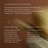 Wild Nutrition Brain Resilience Duo for Cognitive Function & Mental Wellness Support