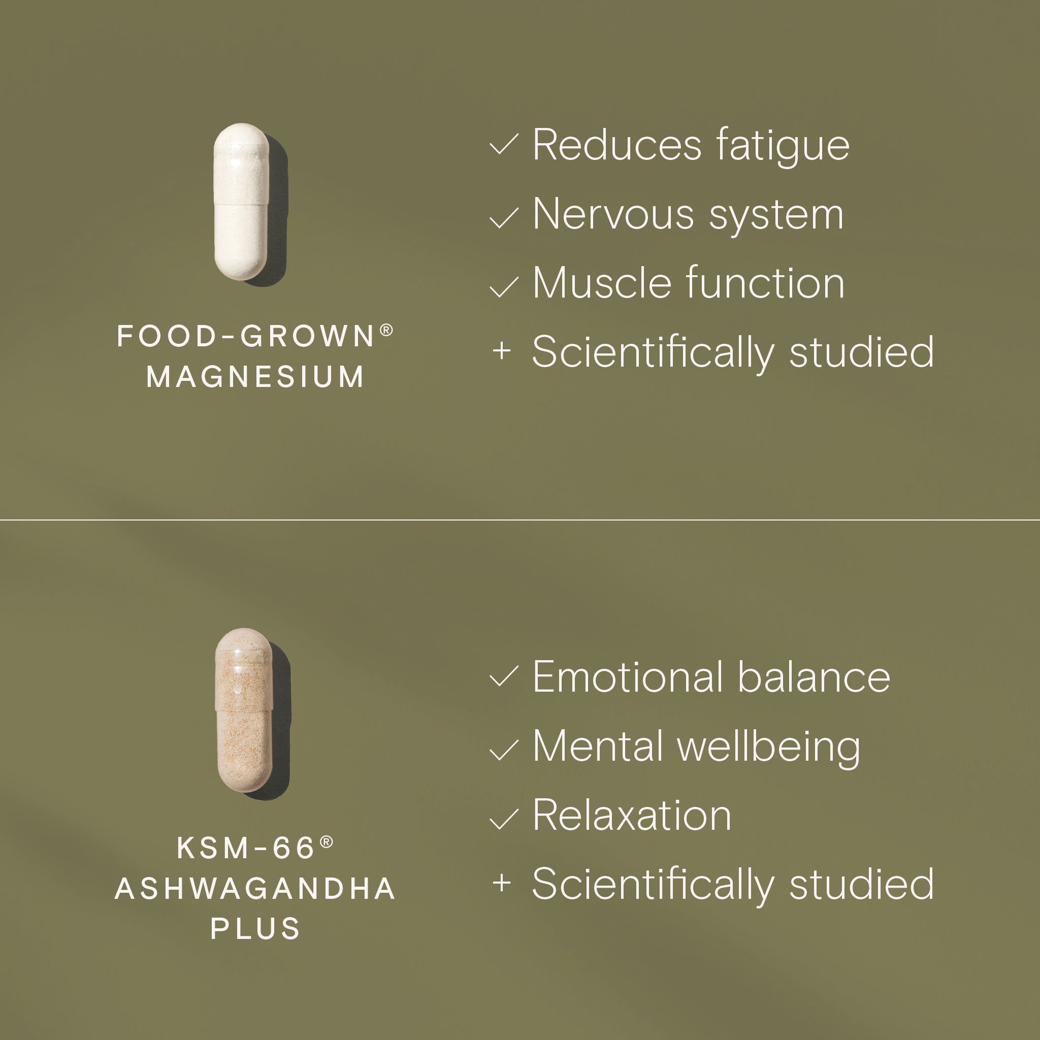 Wild Nutrition Night Time Duo for Sleep, Relaxation & Recovery