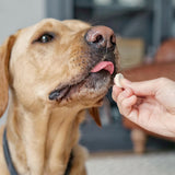 SuperDog Health and Vitality by Vitabiotics