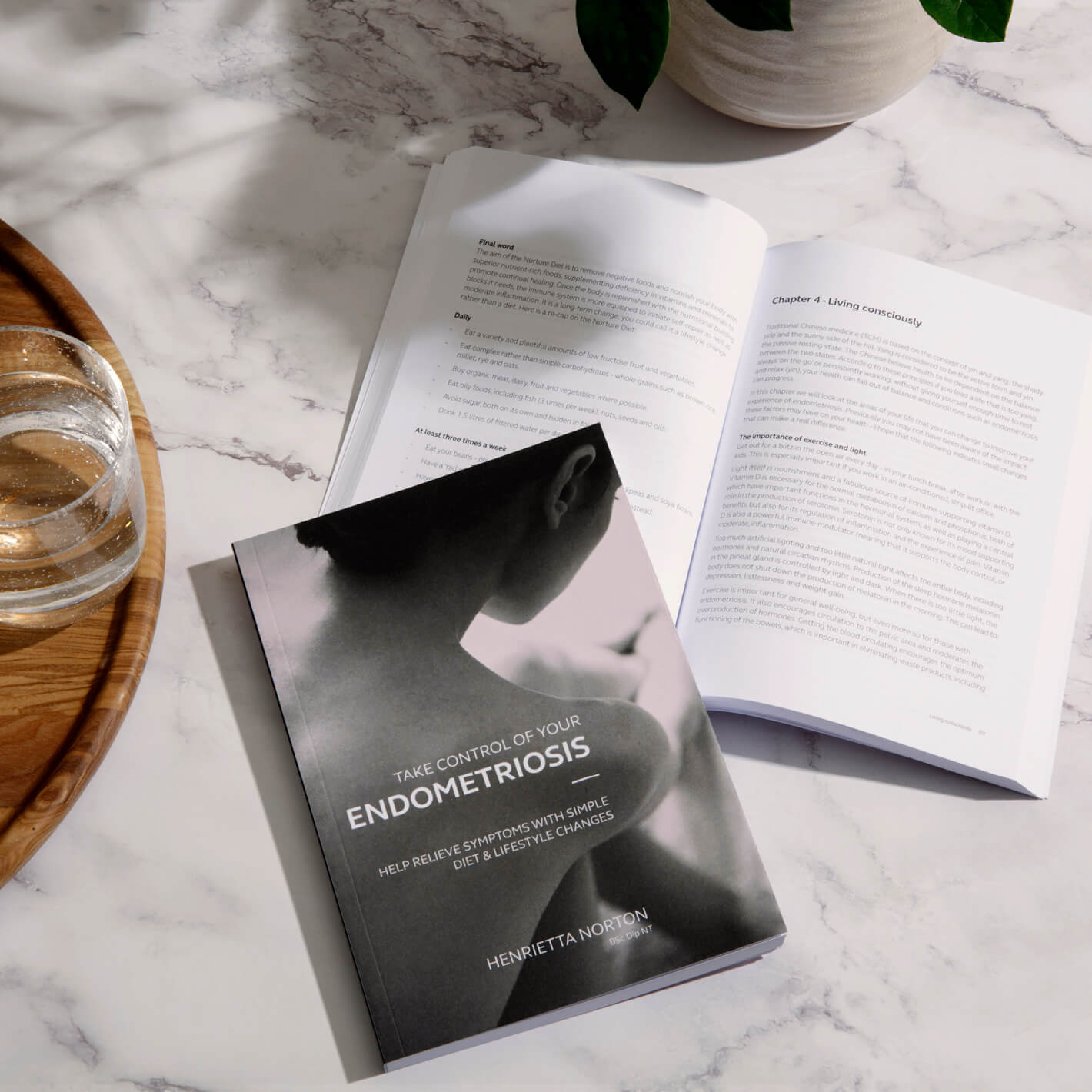 Wild Nutrition Take Control Of Your Endometriosis for Endometriosis Education & Hormonal Health