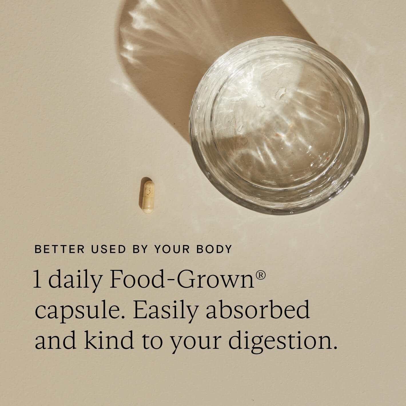Wild Nutrition Pregnancy + New Mother Biotic for Maternal Gut Health & Wellness