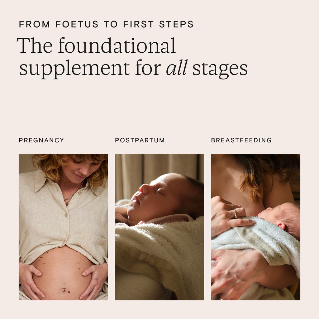 Wild Nutrition Pregnancy + New Mother Duo for Pregnancy & Postnatal Wellness