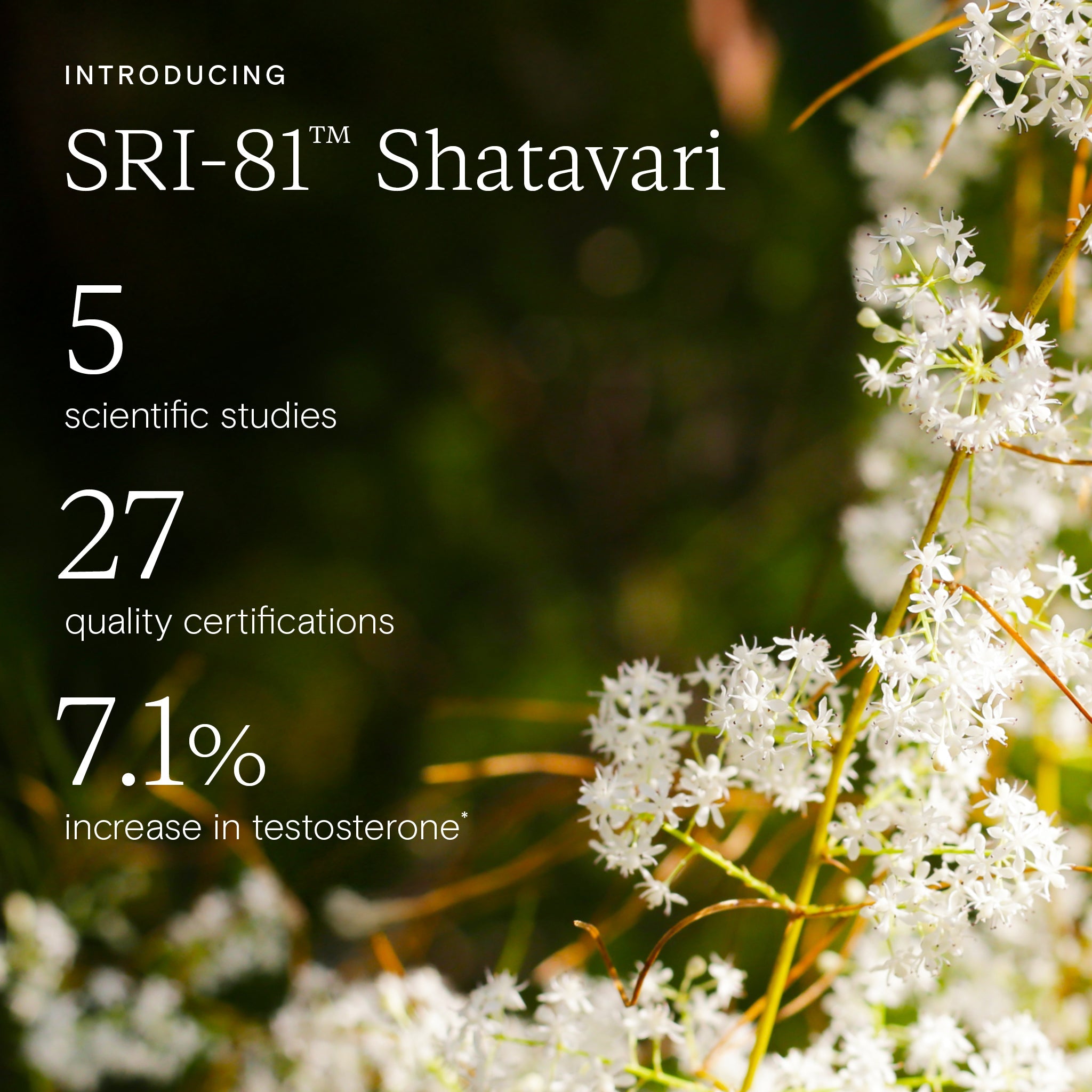 Wild Nutrition SRI-81™ Shatavari Plus for Hormonal Balance & Women's Health