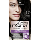 Color Expert 1.0 Natural Black Permanent Hair Dye