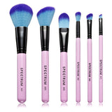 Beauty Fix 6 Piece Brush Set