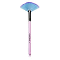 Collections Pink A10 Small Fan Brush