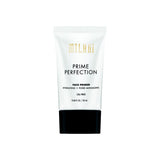 Prime Perfection Hydrating + Pore-Minimizing Face Primer