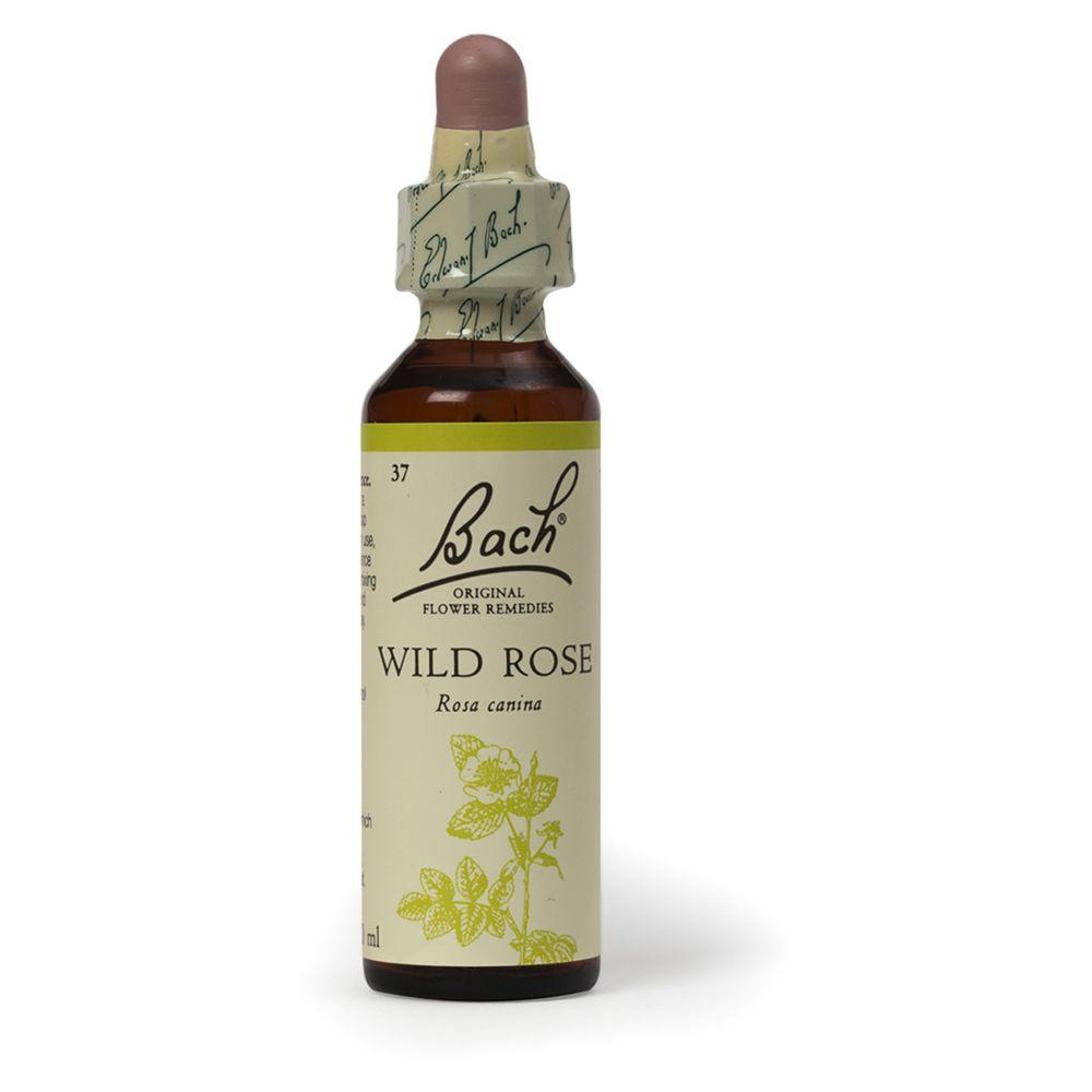 Original Flower Remedy Wild Rose Dropper 20MlFlower Essence