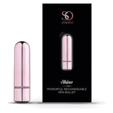 10 Function Powerful Rechargeable Mini Bullet - Shine