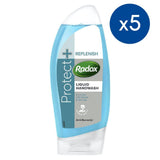 Radox Protect & Replenish Antibacterial Hand Wash 250Ml